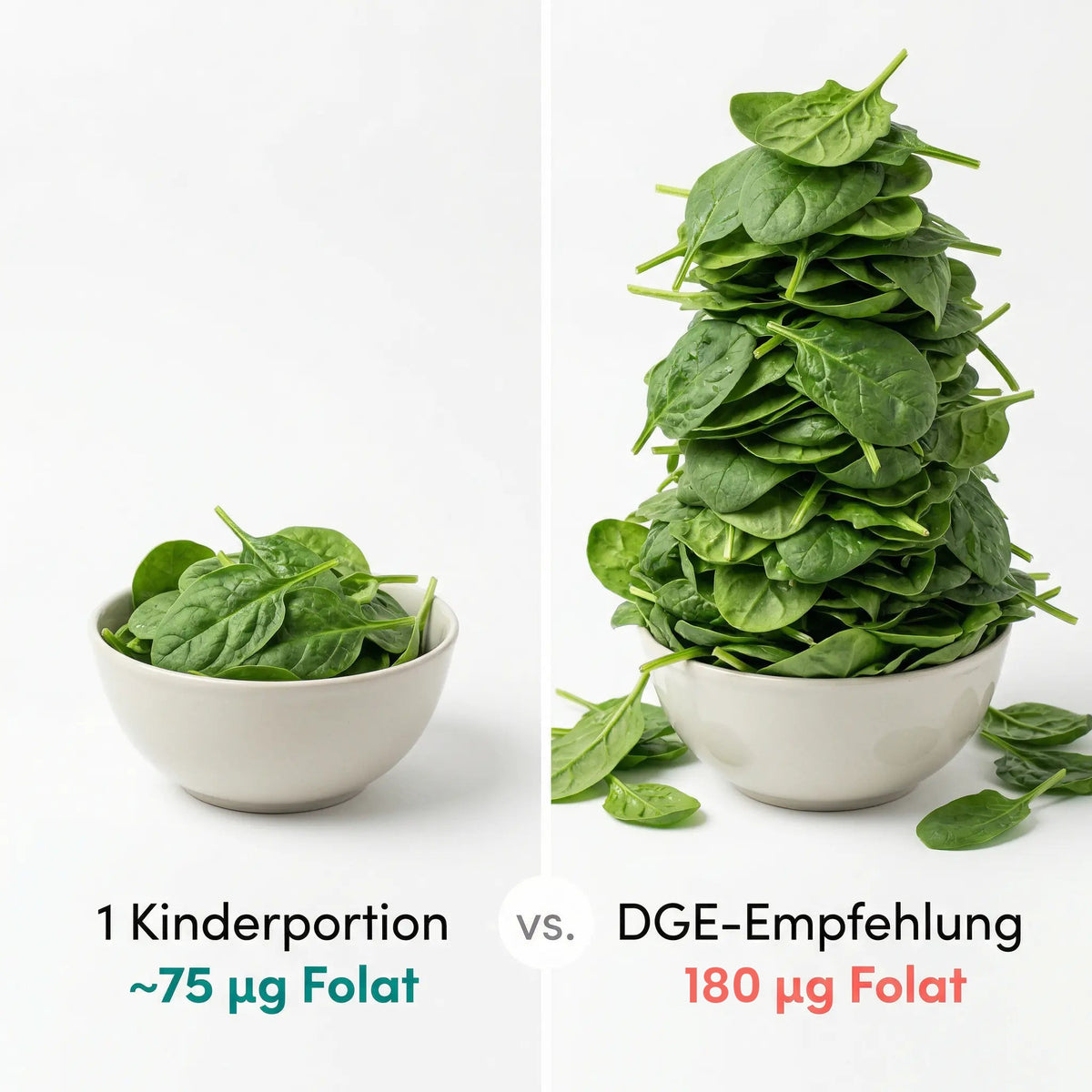 1 Kinderportion Spinat ~75 µg Folat im Vergleich zur DGE-Empfehlung von 180 µg Folat